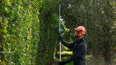 BOSCH PRO GHE 18V-50 TP PROFESSIONAL CORDLESS TELESCOPIC HEDGECUTTER 18.0 V - Image 7
